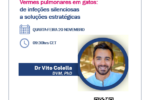 Vetoquinol dinamiza webinar sobre vermes pulmonares em gatos