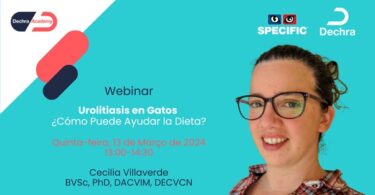 Dechra dinamiza webinar sobre urolitíase em gatos